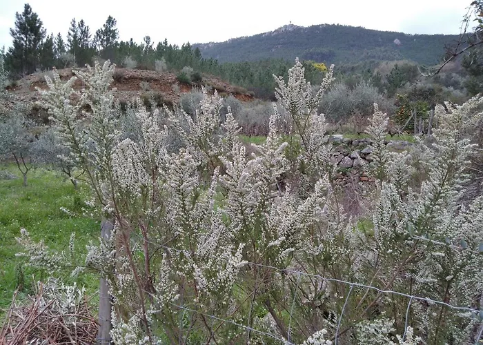 Prázdninový dům Refugio Do Raposo/casa Altair