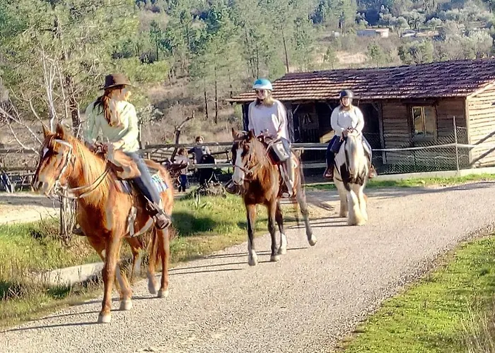 Prázdninový dům Refugio Do Raposo/casa Altair *